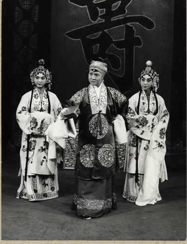 穆桂英……杨秋玲 佘太君……王晶华 柴郡主……王望蜀主要演员:改编