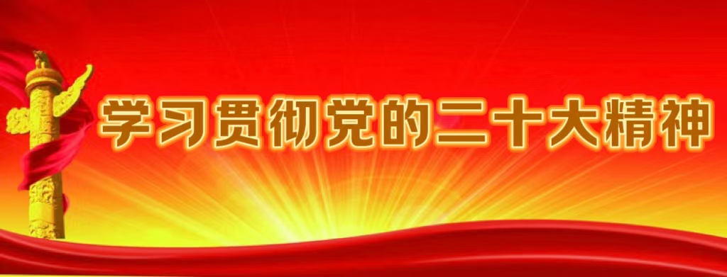 学习贯彻党的二十大精神专题