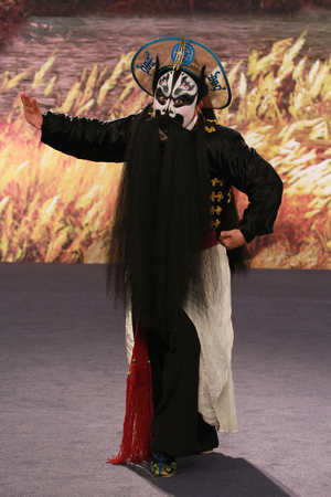 致春天两会代表系列访谈杨赤用实际演出表达我们的心愿