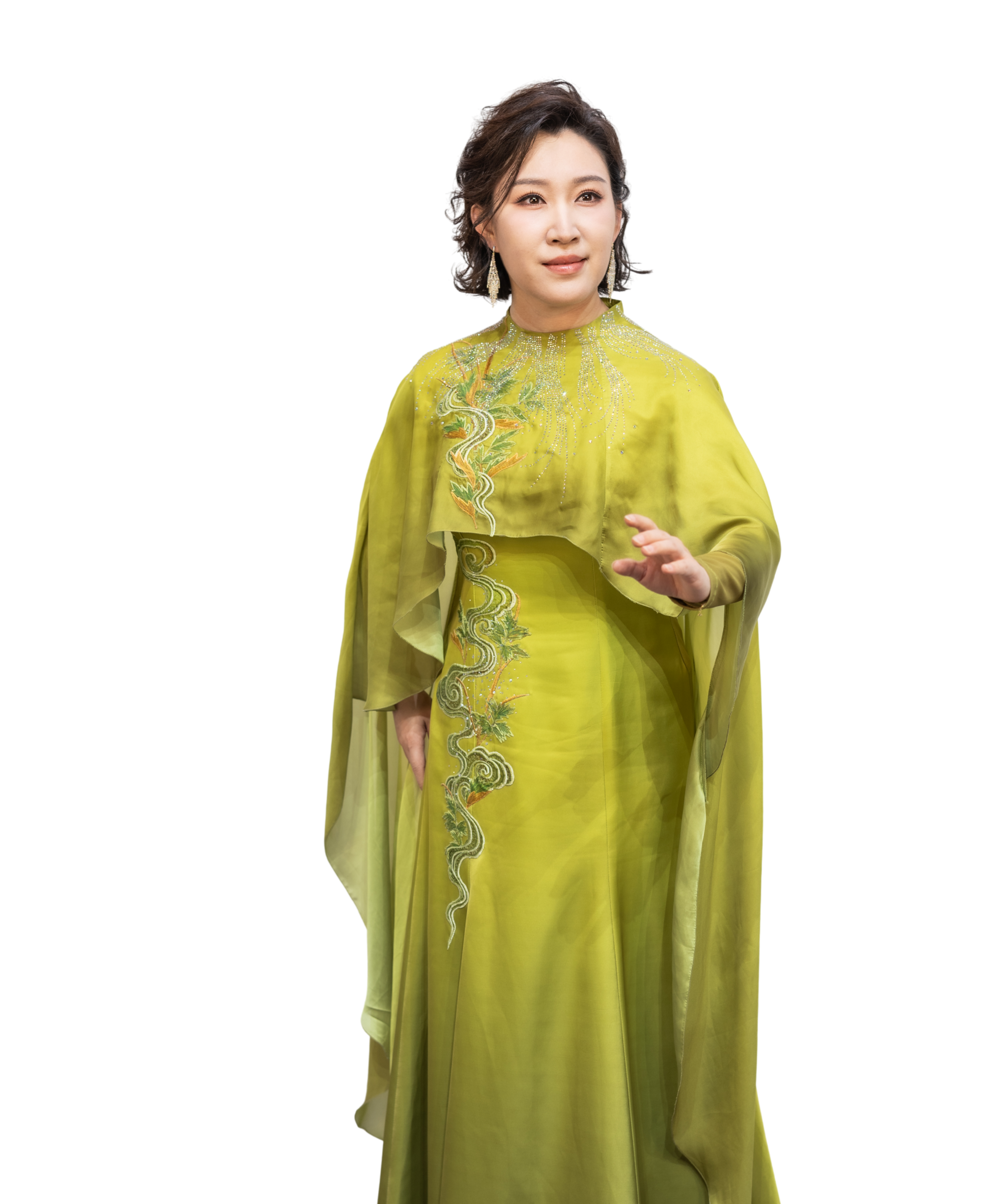 杨杨